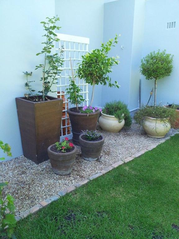 Oak Village B&B Stellenbosch Kültér fotó